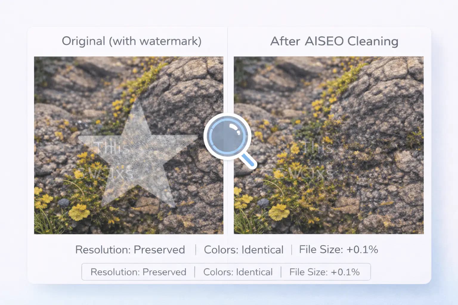 SynthID Removal Visual